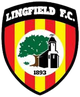 林非德 Logo