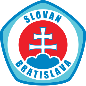 NMSK巴迪斯拉华 Logo