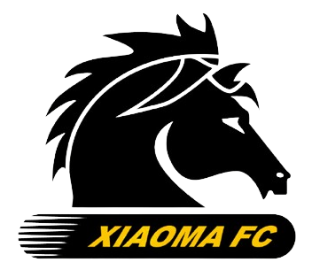 武汉小马过河 Logo