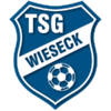 维塞克U19 Logo