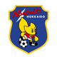 北海道北方闪电 Logo