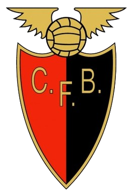 CF宾菲卡 Logo