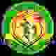 帕拉库迪纳摩 Logo