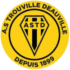 特鲁维尔DV Logo