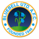 布鲁贝尔联 Logo