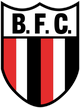 博塔福戈女足 Logo