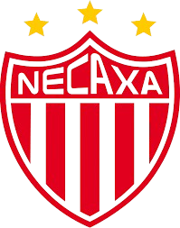 内卡萨 U19 Logo