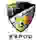 洪卡女足 Logo