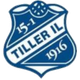 蒂勒 Logo