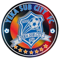 叶卡萨布城FC Logo