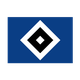 汉堡U17 Logo