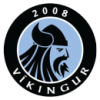 戈塔维京人U19 Logo