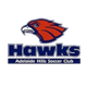 阿德莱德山丘后备队 Logo