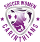 卡林蒂安女足 Logo