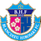 布兰迪厄广崎 Logo