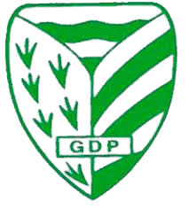 GD佩拉里加U19 Logo