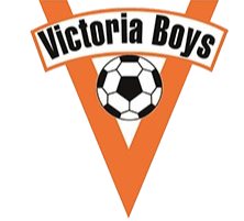 维多利亚女足 Logo