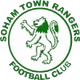 索厄姆镇流浪 Logo