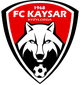 卡塞尔 Logo