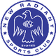 拉迪恩 Logo