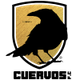 库尔沃斯 Logo