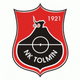 托尔明 Logo