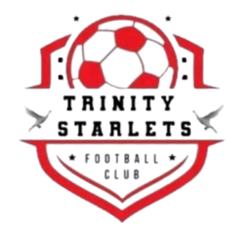 三一之星女足 Logo