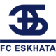 埃斯克 Logo