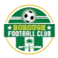 布洛夫 Logo