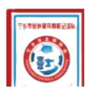 湖南省宁乡市金洲星邦智能足球队 Logo