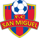 圣米格尔博钦 Logo