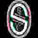 萨罗SC女足 Logo
