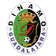 瓜达拉哈拉迪纳摩女足 Logo