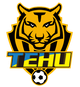 南京铁虎 Logo