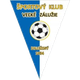 维卡扎路兹尼 Logo