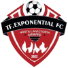 TF指数 Logo