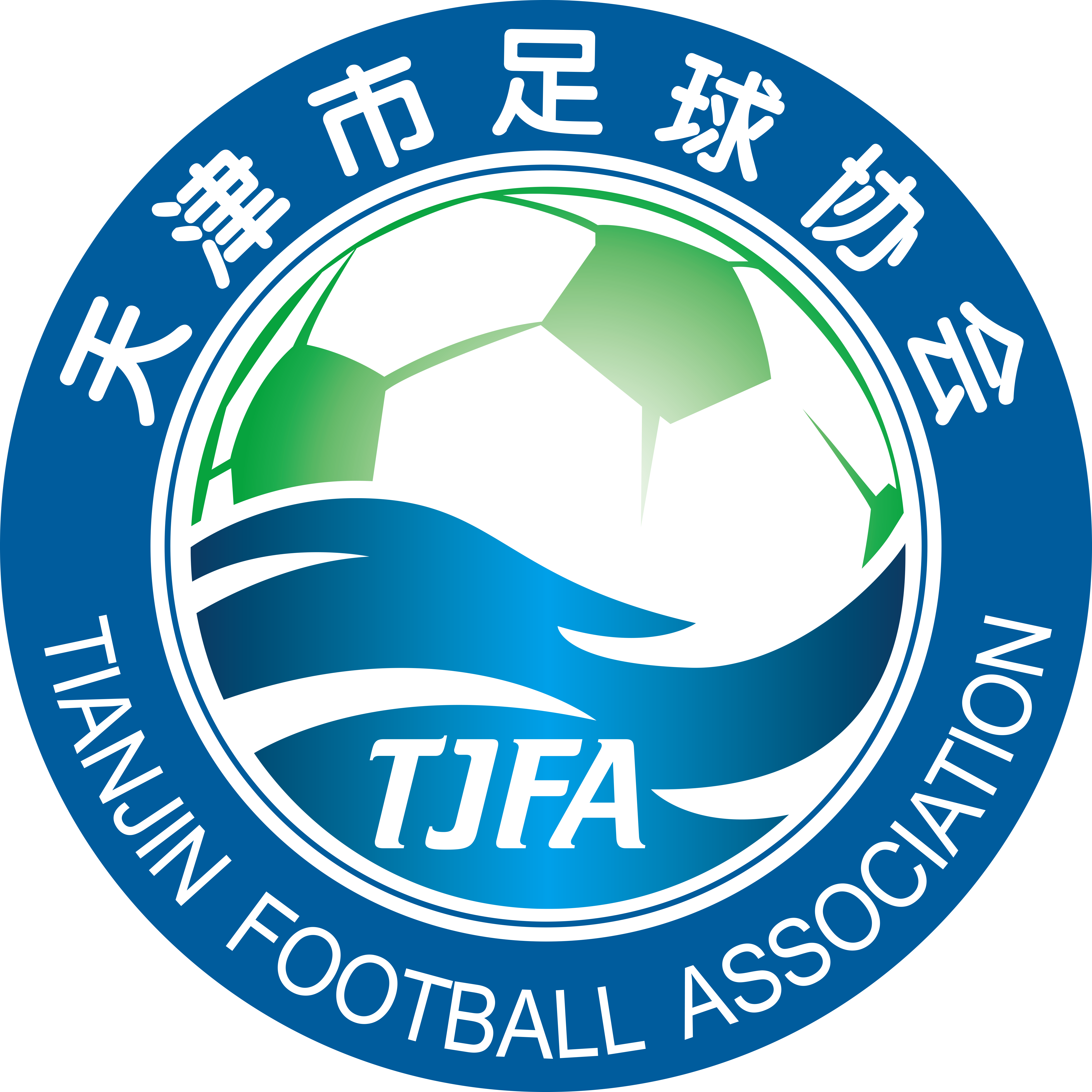 天津全运女足 Logo
