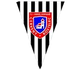 切尔韦尼 Logo