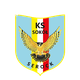 索科尔塞洛克 Logo