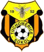 TJ索科勒梅尔采 Logo
