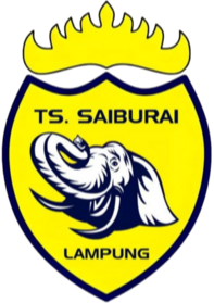 TS闪电队 Logo