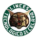 塞拉亚林斯 Logo