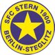 斯坦恩女足 Logo