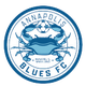 安纳波利斯蓝调 Logo