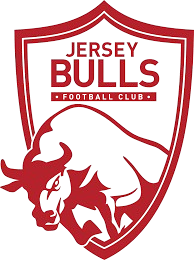 泽西公牛 Logo