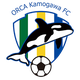 虎鲸鸭川女足 Logo