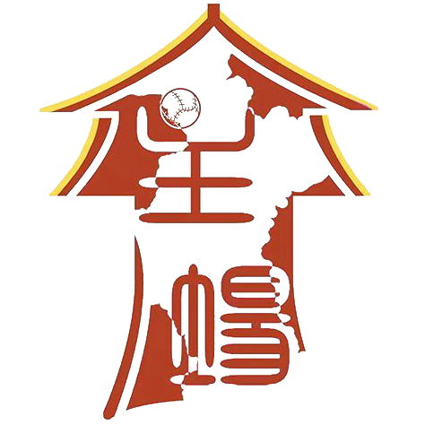 淄博主场山东理工大学女足 Logo