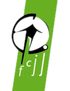 永林斯特女足 Logo