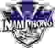 南丰联队 Logo