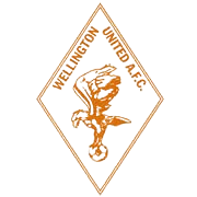 惠灵顿联女足 Logo